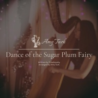 Dance of the Sugar Plum Fairy - Single - Amy Turk