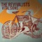 Strawman - The Revivalists lyrics