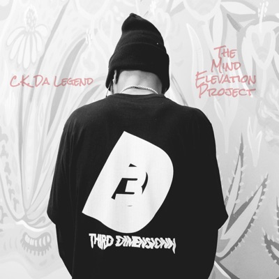 THE MIND ELEVATION PROJECT - EP