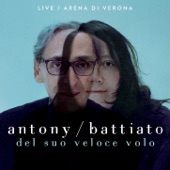 La cura (Live At Arena di Verona / 2013) artwork
