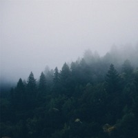 Sublime - Single - Tim Schaufert & Shwin