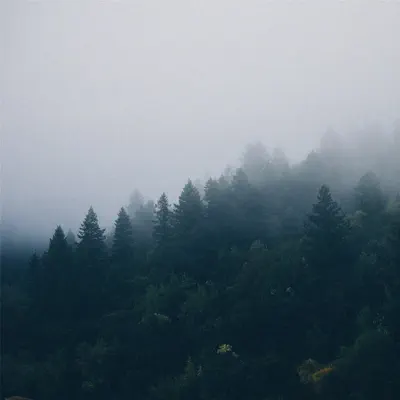 Tim Schaufert & Shwin의 Sublime - Single을(를) 감상해 보세요.