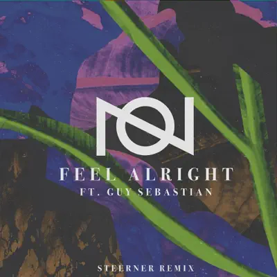 Feel Alright (feat. Guy Sebastian) [Steerner Remix] - Single - Oliver Nelson