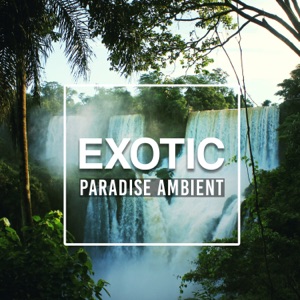 Exotic Paradise Ambient: Tropical Nature Sounds, Blissful Massage, Relaxing Summer Dreams, Spa Chill Lounge