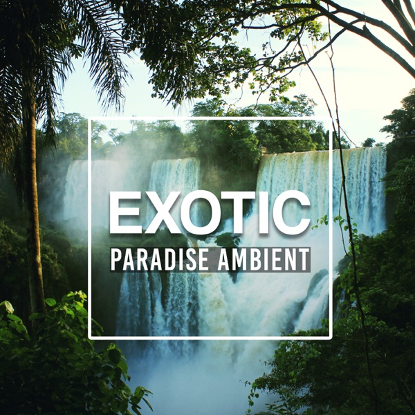 Exotic Paradise Ambient: Tropical Nature Sounds, Blissful Massage, Relaxing Summer Dreams, Spa Chill Lounge