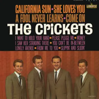 lataa albumi The Crickets - California Sun She Loves You