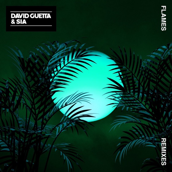 Cover artwork for Flames (Leandro Da Silva Remix)