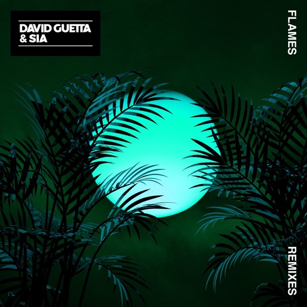 David Guetta - Flames (Leandro Da Silva Remix)