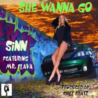 She Wanna Go (feat. Mr. Flava) - Single - Sinn
