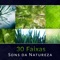 Sons da Natureza - Através da Natureza - Relaxar Bem Estar Clube lyrics