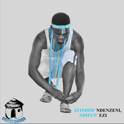 Ayindim Ndenzeni, Ndifun' Ezi