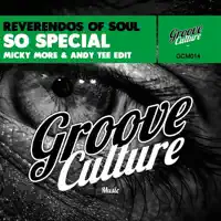 So Special (Micky More &amp; Andy Tee Edit)