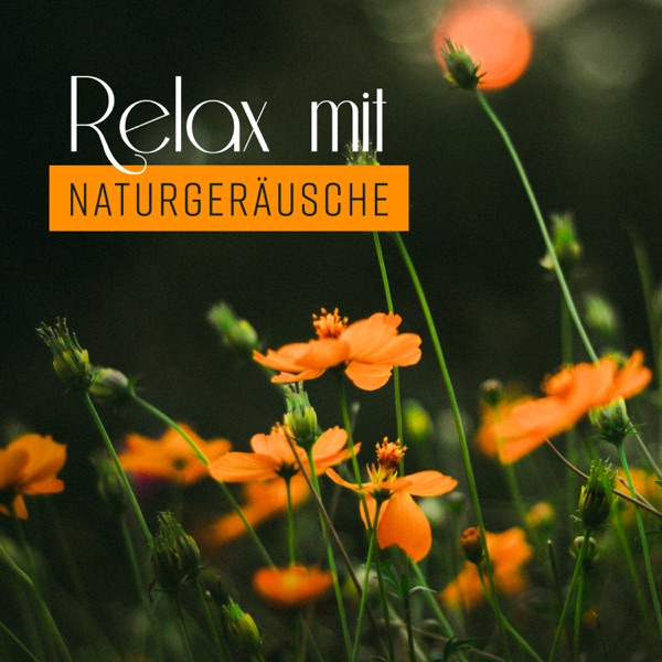Relax mit Naturgeräusche: Heilungsrhythmen und Zen Musik, Entspannendes weißes Rauschen, Ruhiger Schlaf, Meditation