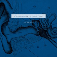 A Bothersome Injuries Forty, Vol. 5 - EP - James O'Brien