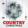 An Old Christmas Card (feat. Bergen White & Nashville String Machine) - The Forester Sisters