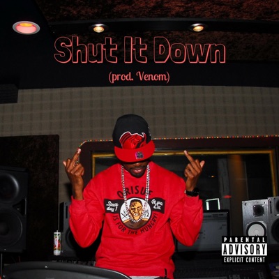 Shut It Down - Single
