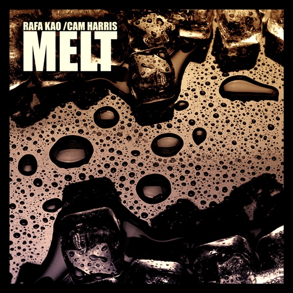 Melt - Single