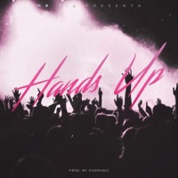 Hands Up - Single - Mr. Sis