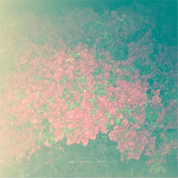 Halos / Bills - Single