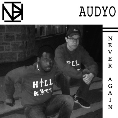 Never Again (feat. Audyo) - Single