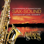 Goodbye My Love, Goodbye - Orchester Ambros Seelos