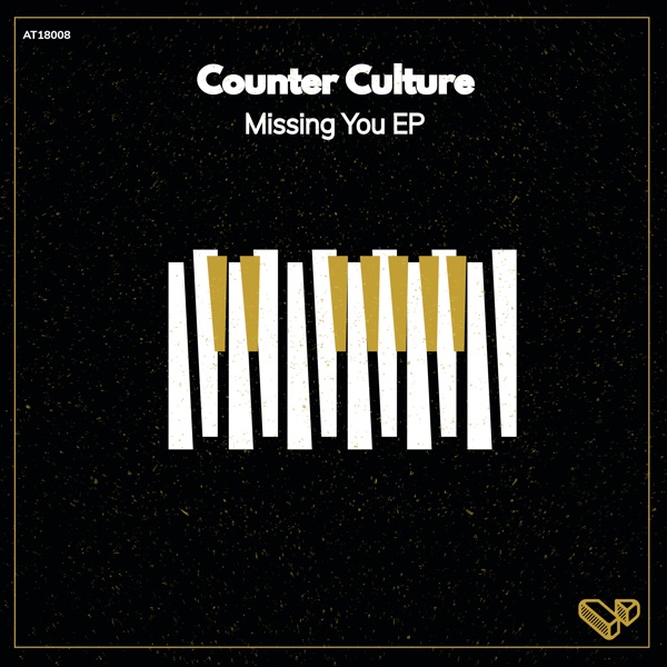 Missing You - Single