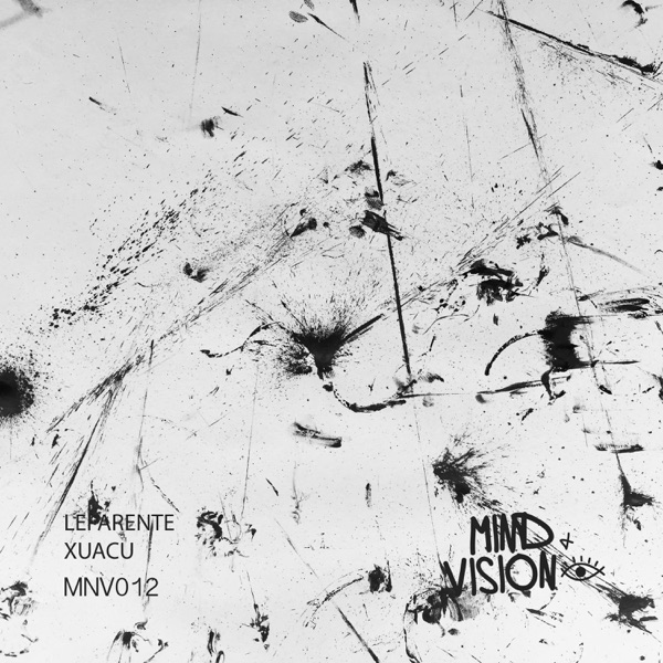 Vision Series, Vol. 4 - Single