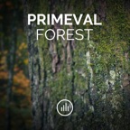 Primeval Forest