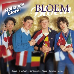 Hollands Glorie