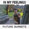 In My Feelings - Future Sunsets & David Michael Frank lyrics