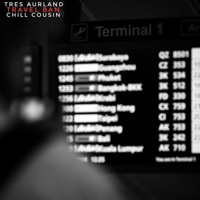 The Travel Ban (feat. Tres Aurland) - Single - Chill Kousin