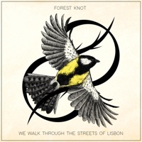 We Walk Through the Streets of Lisbon