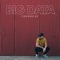 Big Data - Feverrise lyrics