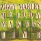 Could You Be Loved - Ziggy Marley & The Melody Makers lyrics