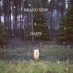 Daisy - Brand New