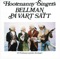 Nota Bene - Hootenanny Singers lyrics