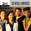 The Neville Brothers