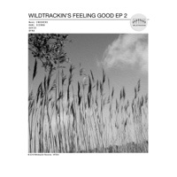 Wildtrackin's Feeling Good 2 - EP - Wave Crushers, Karl Sierra, Gavio & DFRA