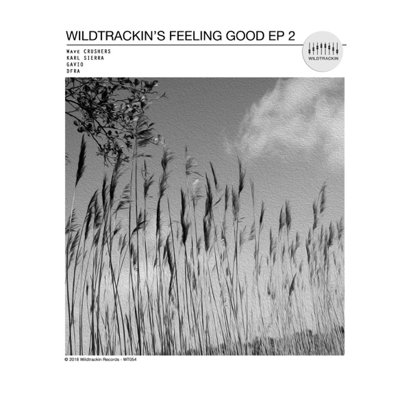 Wildtrackin's Feeling Good 2 - EP