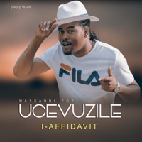 Affidavit - Single - Cevuzile