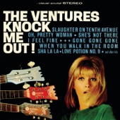 The Ventures - She's Not There