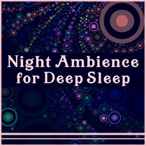 Night Ambience for Deep Sleep - 30 Absolutely Relaxing Tracks: Get the Sleep You Deserve