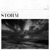 Stream & download Storm - Single