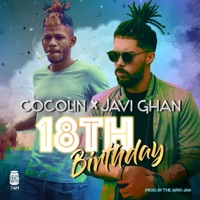 18th Birthday (feat. Thecocolin Parodia) [Parodia] - Single - JaviGhan