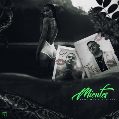 Mientes (feat. Srn) - Single