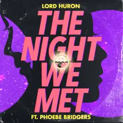 The Night We Met (feat. Phoebe Bridgers) - Single - Lord Huron