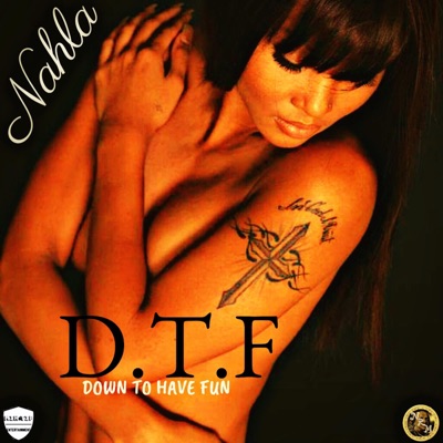 DownTo Have Fun (DTF) [feat. Nahla] - Single