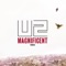 Magnificent (Fred Falke Full Club Mix) artwork