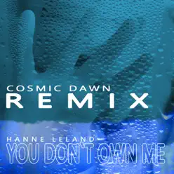 You Don't Own Me (Cosmic Dawn Remix) - Single - Hanne Leland You Don't Own Me (Cosmic Dawn Remix) - Single - Hanne Leland