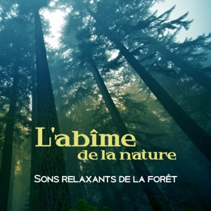 L'abîme de la nature: Sons relaxants de la forêt, contempler et sentir une nouvelle énergie